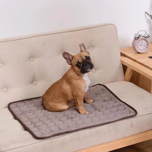 Kühlende Hundematte für Sommer